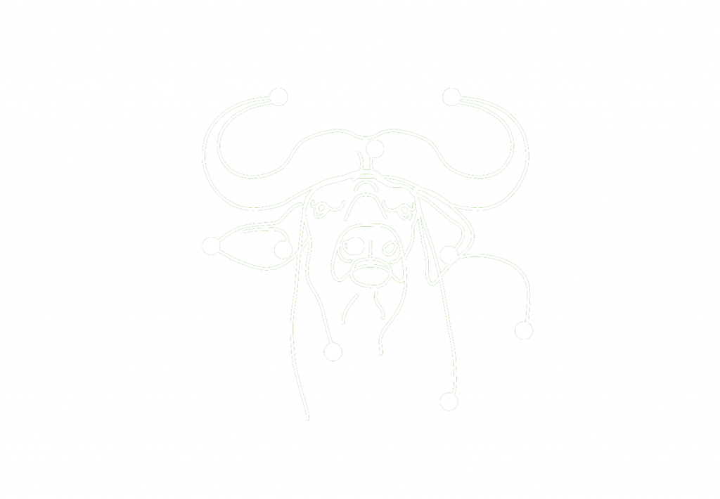animal