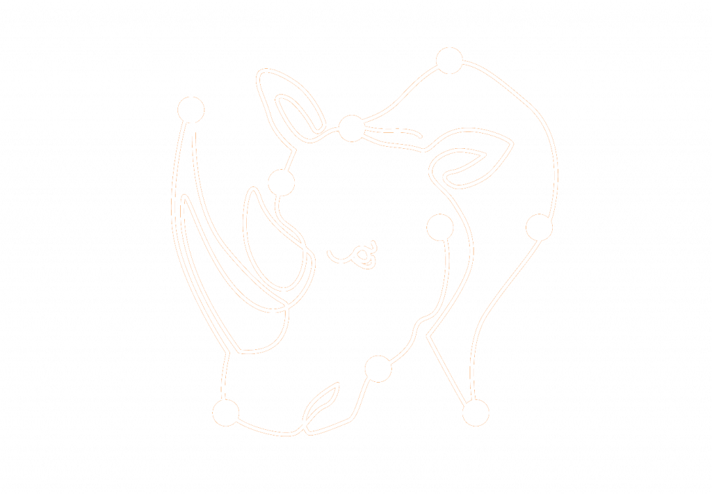 rhino
